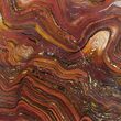 Polished Tiger Iron Stromatolite - ( Billion Years) #39179-1